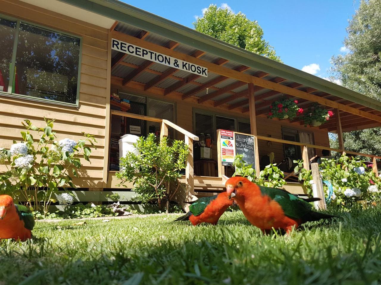 Jamieson Caravan Park Esterno foto